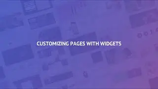 8.3 Customizing Pages with Widgets [PRO]