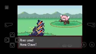 Pokemon Radical Red Ramdomizer Nutzlock Part 02 Vorbereitung auf den Kampf mit Rocko