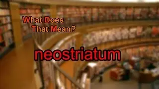 What does neostriatum mean?