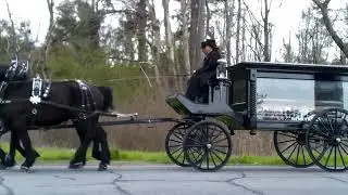 Horse and Carriage...Christian News TY