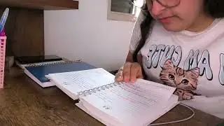 Meu ecossistema de cadernos 2026 + meu método e como funciona 