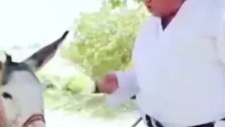 10 ноября 2020 г.