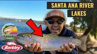 Live Trout Fishing - Santa Ana River Lakes