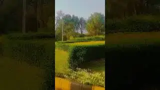 beautiful place | Islamabad | nature #youtubeshorts #learningpoint #ytshorts