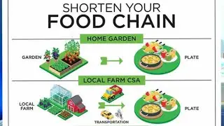 They seized control of our food supply. Now what?