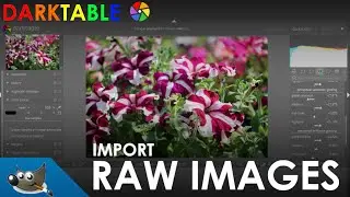 Import Raw Image | GIMP Tutorials