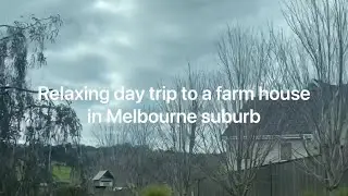 (265) Relaxing day trip to a farm house in Melbourne suburb 參觀墨爾本超大農莊自然培育一日遊
