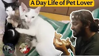 A Day Life Of Pet Lover | Tamilvlog | Cattamil | Vinothjustice