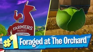 Gather or Consume Foraged Items at The Orchard Location - Fortnite Battle Royale