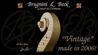 Cello scroll 2006. 