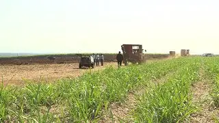 Paroles Agricoles - Lakoup Part 02