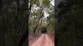 Entre Serras e Vales: Um Passeio de Bike nas Montanhas de Minas