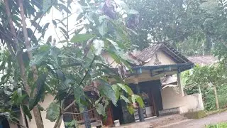 Gerimis syahdu saat Adzan Ashar di desa Salatiga