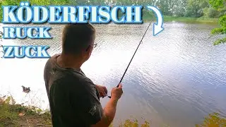 Erfolgreich Angeln im Juli 2023 mit Wurm und K&ouml;derfisch auf Hecht und Barsch.