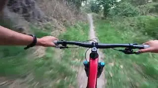 Nice ride on some local trails in Havelock North