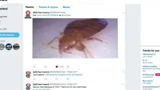 SOS Pest Control #BedBugsSuck 4