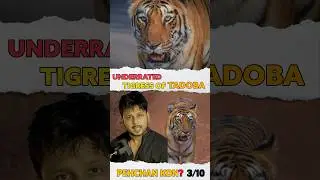 🤔😯Underrated Tigress 🐅of Tadoba 🤔 | 03/10