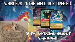 Whispers in the Well full box opening with Sahana cam!