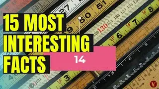 15 Most Interesting Facts that Blows Everyone's Mindc - Part 1 - YoMa Facts
