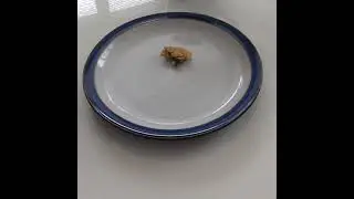 Om nom nom cookie