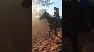 #training #treino #rodeo #cowboys #championne #barrelracing #barrel #trestambores #mygood #