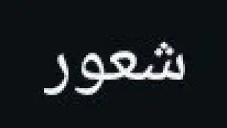 Info World 2.2 is live! || Best Urdu Quotes | shaor
