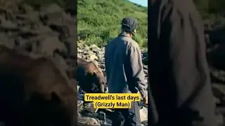 Timothy Treadwell pushes a grizzly bear away from him #shorts #bears #scarystories #grizzlybear