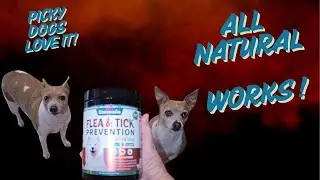 Natural Dog Flea and Tick Supplements