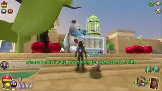 A Quick start to House decorating in Wizard101!