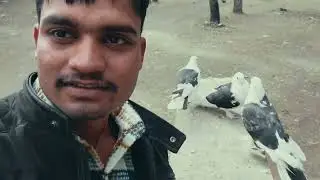 Nearby indore location Lotus valley vlog funny memes 🤣 #changeyourmindsetchangeyo #vlog #funnyvideos
