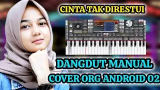 CINTA TAK DI RESTUI || D PASPOR || DANGDUT MANUAL - COVER ORG 2025