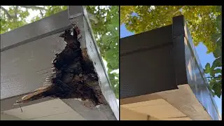 Used Wood Epoxy Putty to Fix Dry Rot