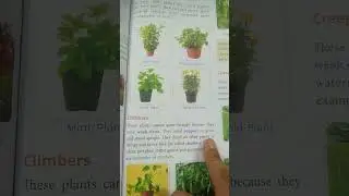 Types of plant ,class3 , essential science