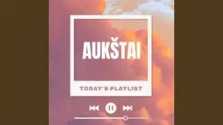 Auk&scaron;tai