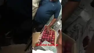 Himachal Apple 80 rupaye kg Etawah mandi #news #food u #himachaltourism #himachal #shimlatour