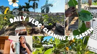 Cleaning Up The Garden 🪴 🍃|| Mere Pair Ke Sath Keya Hua Tha🦵‼️￼