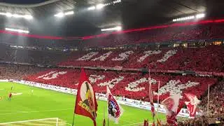 FC Bayern vs. Chicago Fire _ Servus Basti