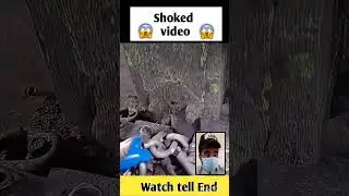 respect #shorts #shortsfeed #youtubeshorts