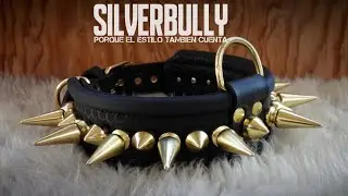 Collares ex&oacute;ticos SILVERBULLY DOG COLLARS LEATHER #dog #handmade 
