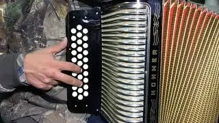 Viva Seguin Parte 2