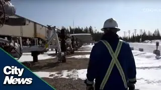 Energy future less about transition, more about diversification: Oil & Gas Executive