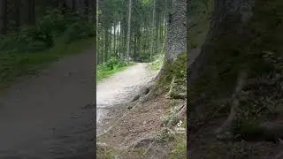 Bikepark semmering #6