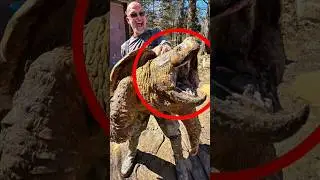 4 Ancient Animals Still Alive Today 😱🤯