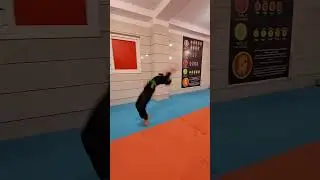 Academy RAMINKASHFI #ninja #bujinkan #toshindo #mma #martialarts #gymlife