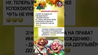 JEDEN TAG WITZE! #Witz #Kom&ouml;die #жарти #гумор #сміх #прикол #анекдоти #jokes #funny #humor #comedy