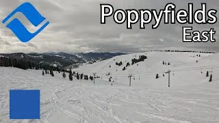 Vail | Back Bowls - Poppyfields East [4K]