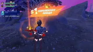 Fortnite Victory Match. A great Victory in pair battles!