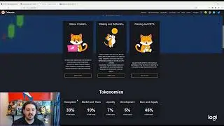 $CATE CATECOIN WILL MAKE YOU MONEY IN 2022 - HOLD AND YOU'LL BE REWARDED - RISE OF CATS