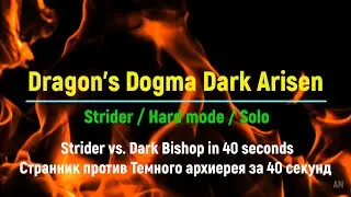 Dragon's Dogma: Dark Arisen #02 Strider vs. Dark Bishop / Странник против Темного архиерея