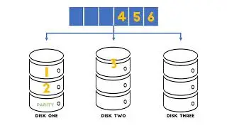 Disk Mirroring and RAID